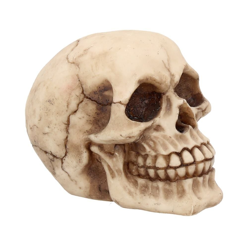 Nemesis Now - Joker 12cm Figurine - Skull - Cream